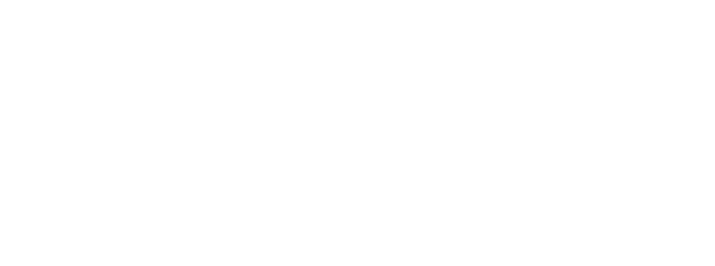 COMIA2026 Springer