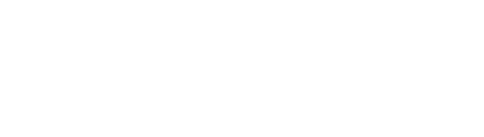 Logo INAOE